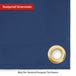 Custom Medium Duty Vinyl Tarp - Blue