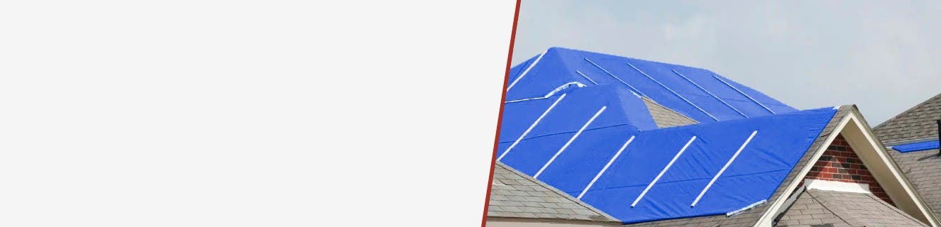 Poly Tarps